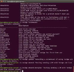 Past Meets Present: Command Line Twitter Clients on Linux